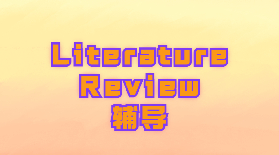 Literature Review輔導(dǎo)