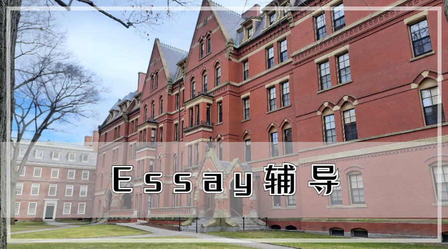 Essay輔導