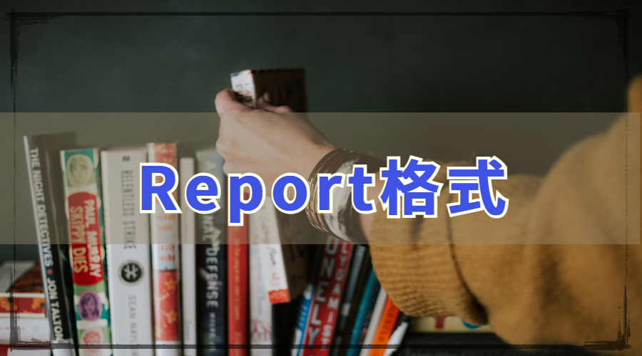 ?Report格式的基本要素一覽