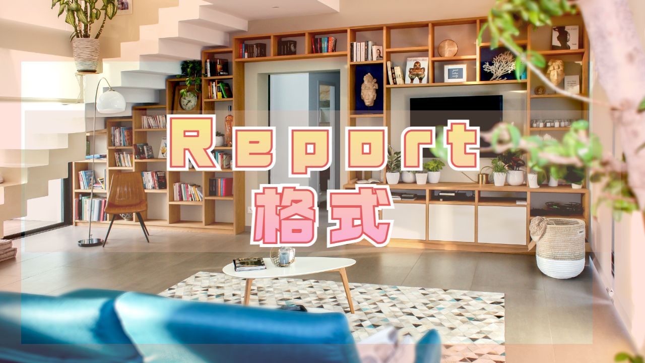 Report格式