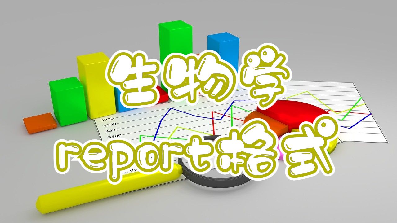 report寫作格式