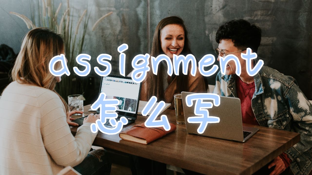 assignment怎么寫