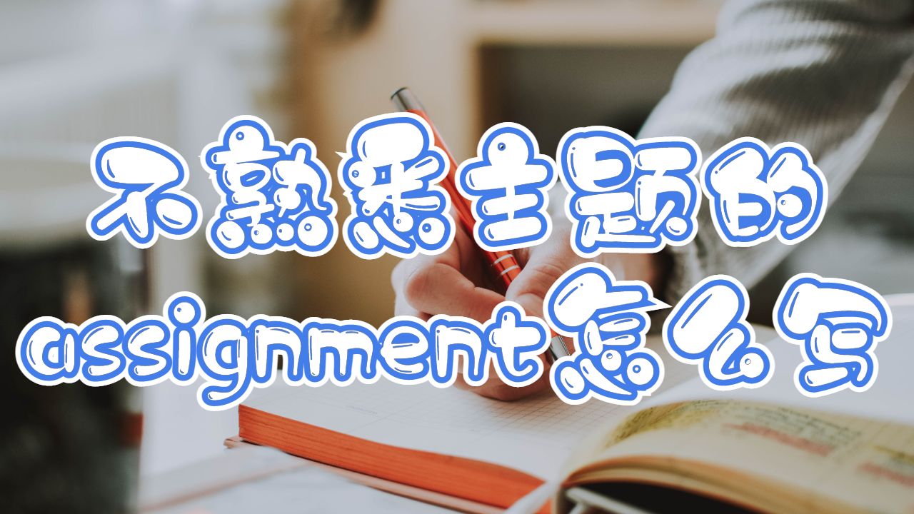 assignment怎么寫