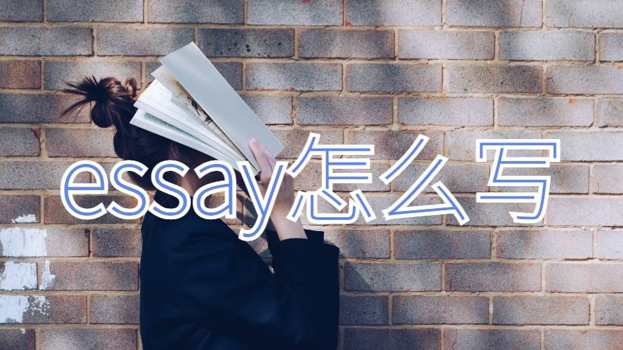 essay怎么寫