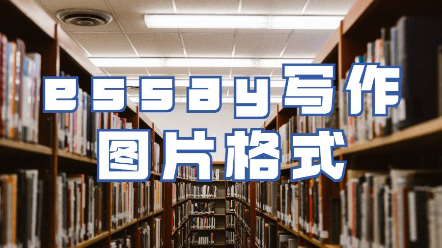 哈特福德大學留學生如何確定論文essay寫作中圖片格式？