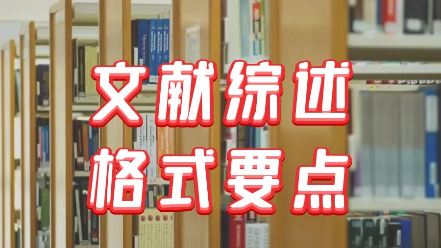 美國南佛羅里達大學Literature Review寫作格式要點