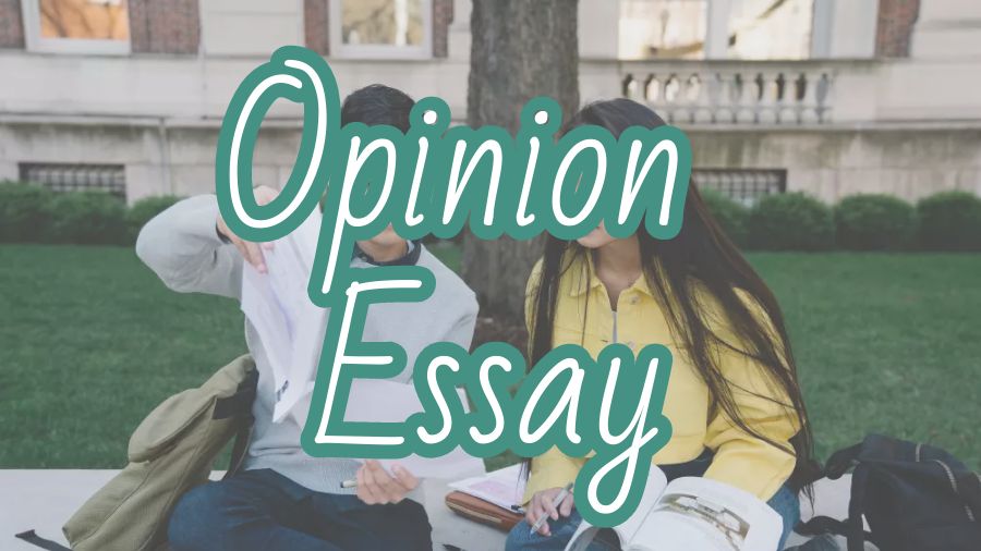 ?澳洲新南威爾士大學Opinion Essay怎么寫？