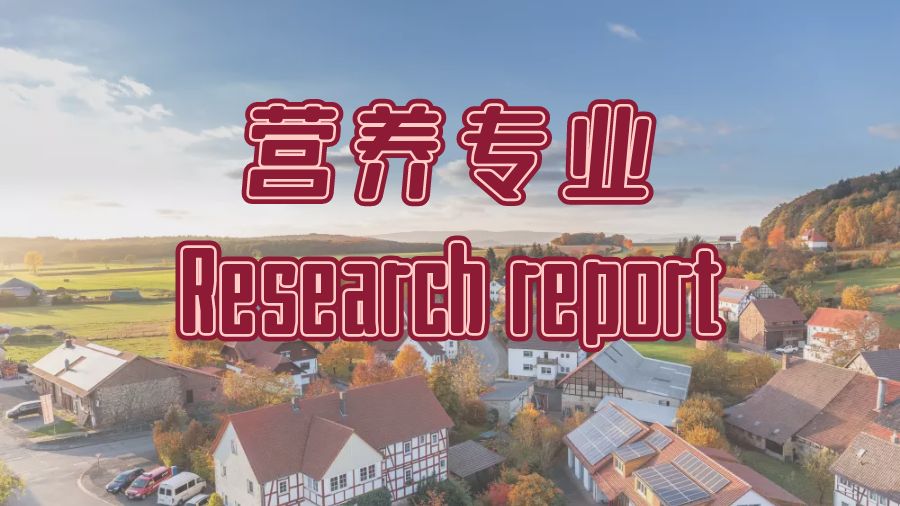 Research Report