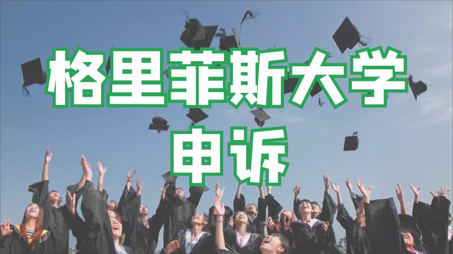 ?工程學專業留學生的Assignment寫作類型