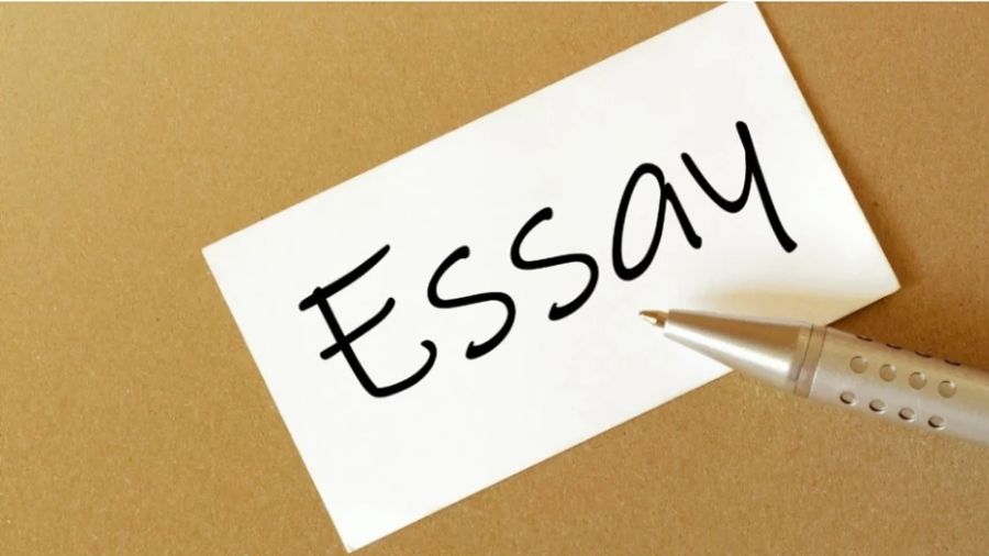 商科英國essay