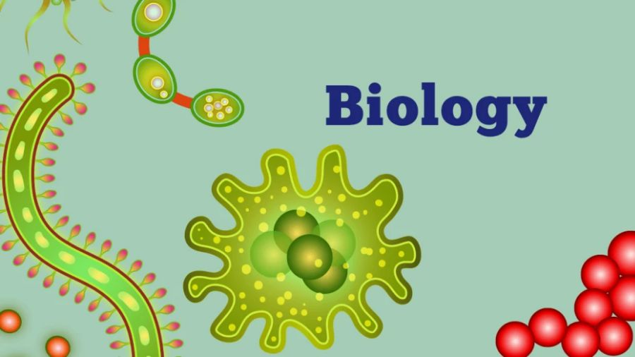 英國UCL大學Biology論文研究課題分享