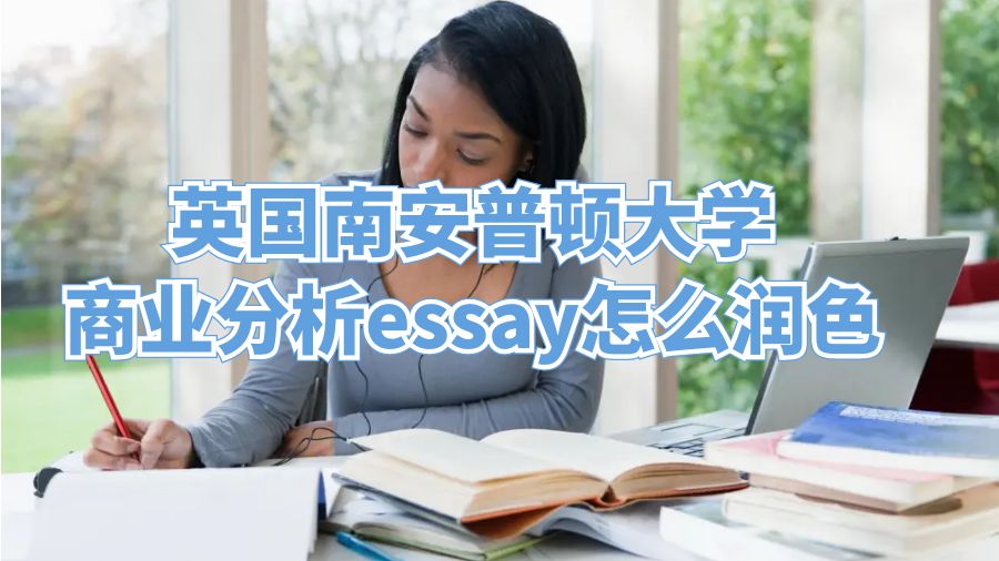 英國南安普頓大學商業分析essay怎么潤色