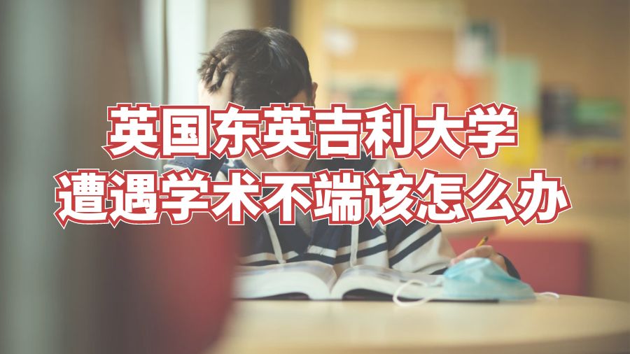 英國東英吉利大學遭遇學術不端該怎么辦