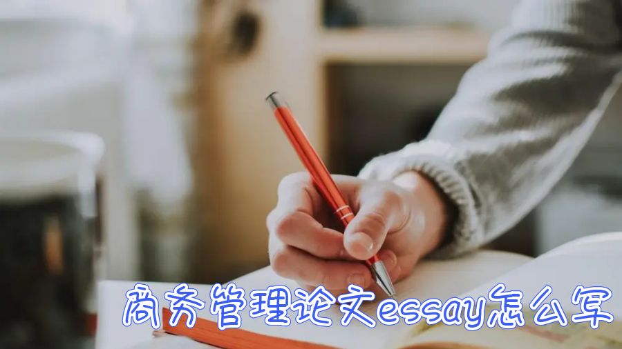 悉尼科技大學商務管理論文essay怎么寫？