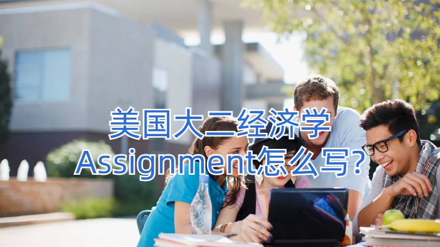 美國大二經濟學Assignment怎么寫?