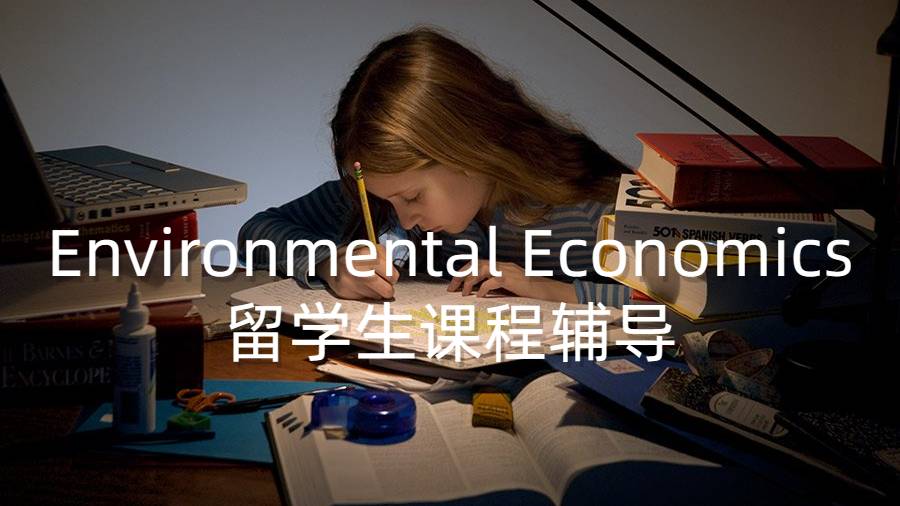 環境經濟學Environmental Economics留學生課程輔導