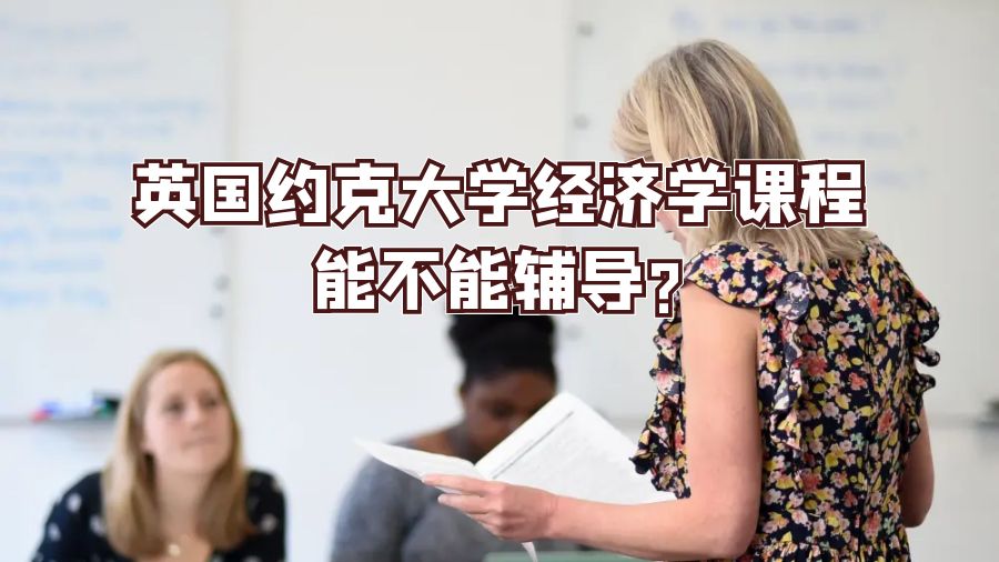 英國約克大學經濟學課程能不能輔導?