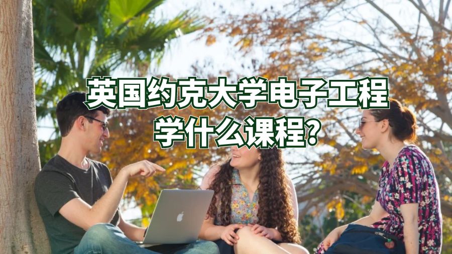 英國約克大學電子工程學什么課程?