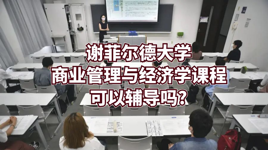 謝菲爾德大學商業管理與經濟學課程可以輔導嗎?