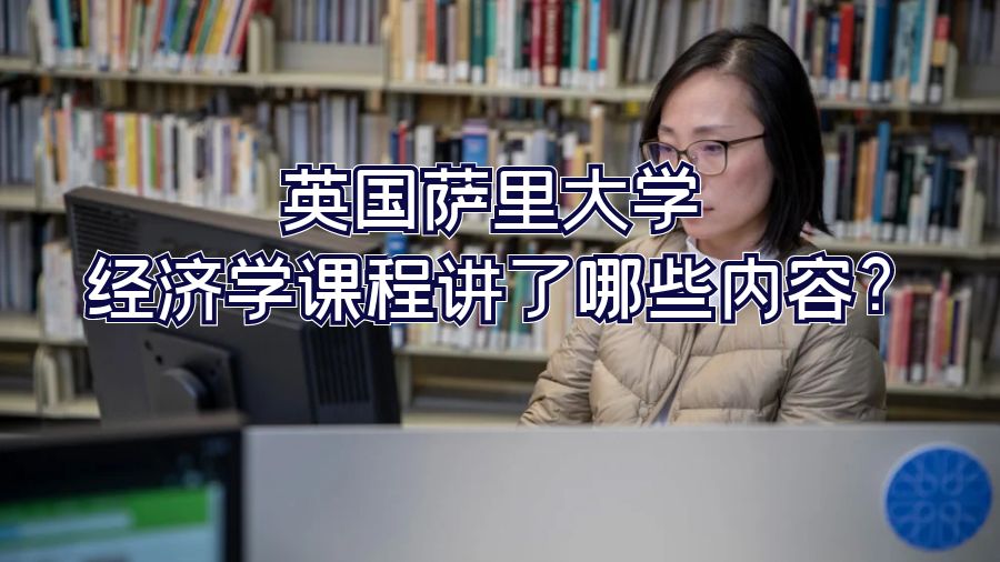 英國薩里大學經濟學課程講了哪些內容?