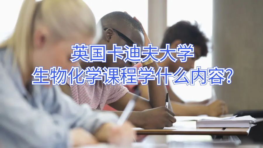 英國卡迪夫大學生物化學課程學什么內容?