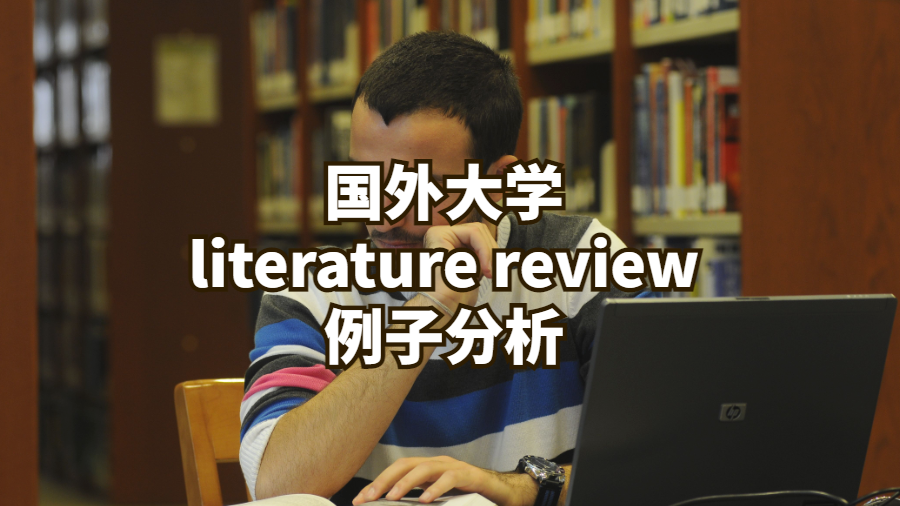 國外大學literature review例子分析