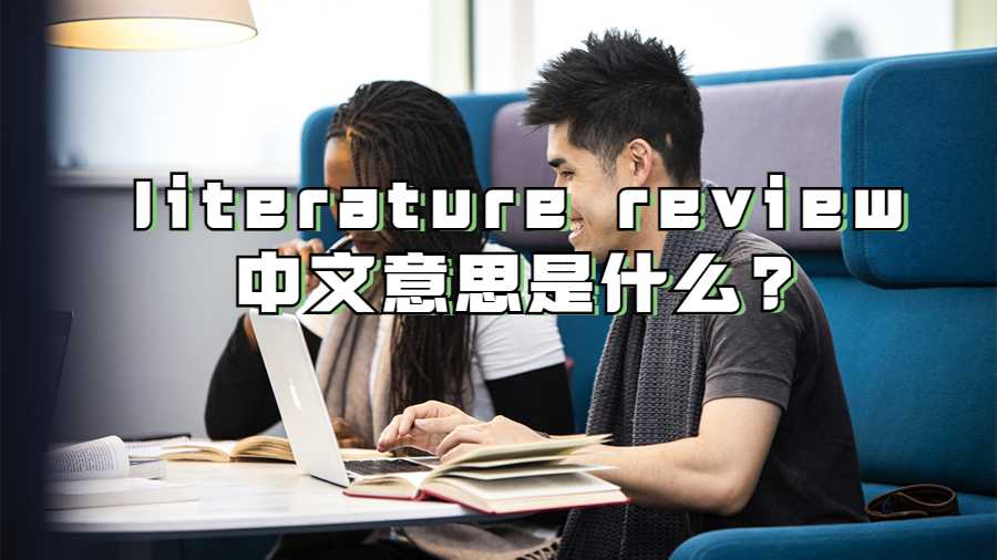 literature review中文