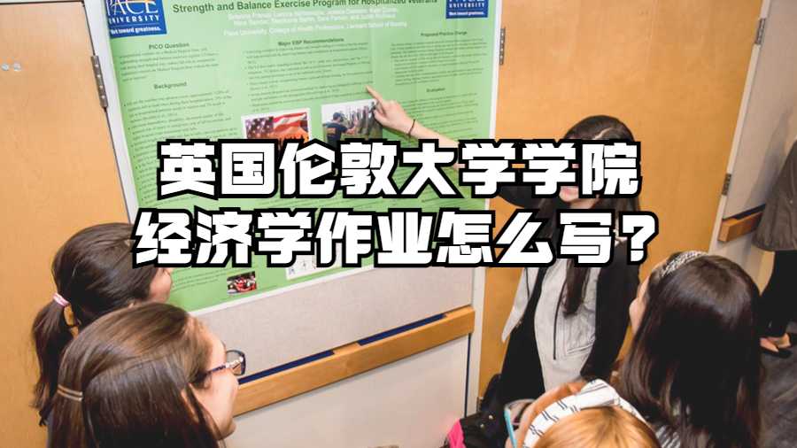 英國倫敦大學學院經濟學作業怎么寫?