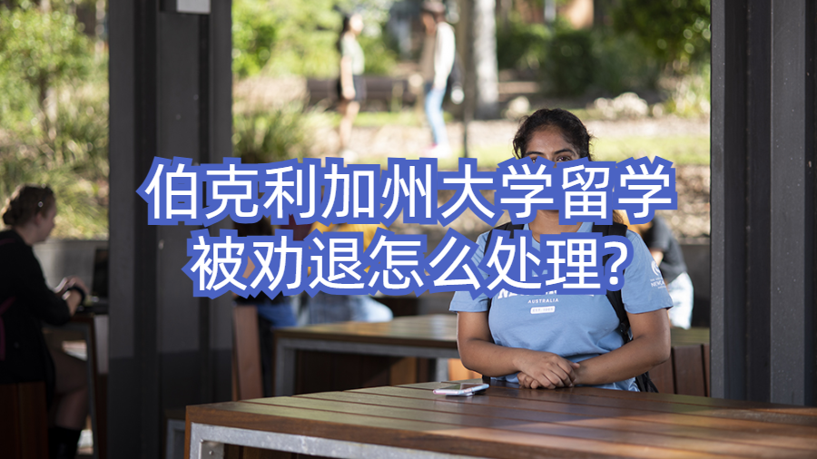 伯克利加州大學留學被勸退怎么處理?