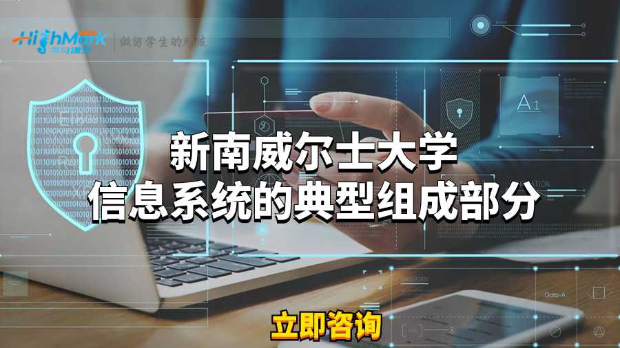 新南威爾士大學信息系統的典型組成部分