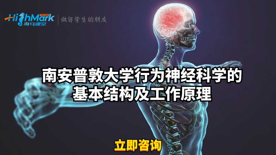 南安普敦大學行為神經科學的基本結構及工作原理