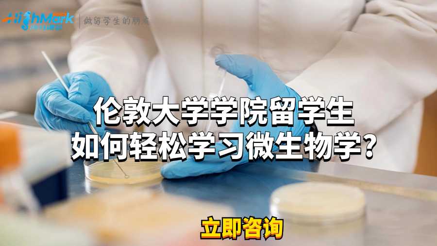 倫敦大學學院留學生如何輕松學習微生物學?