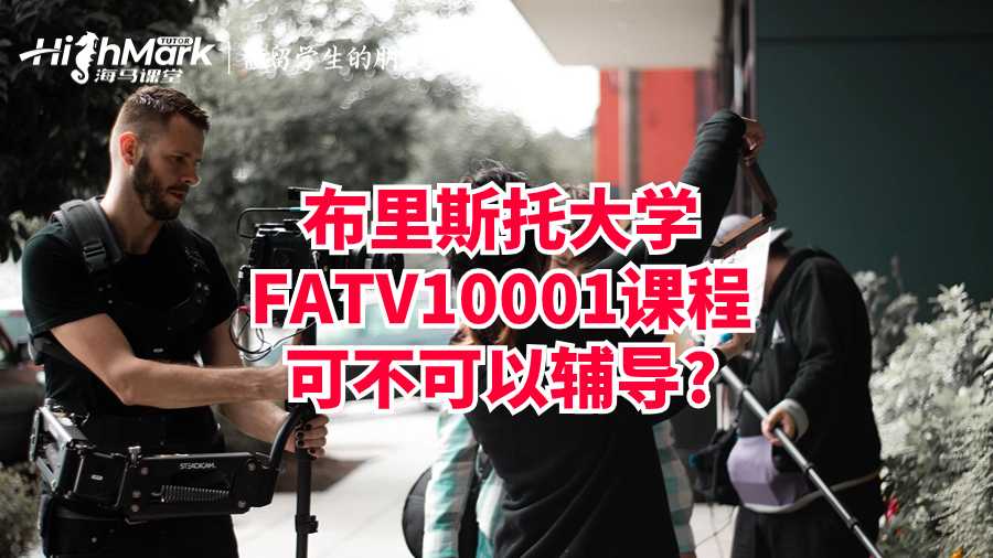 布里斯托大學FATV10001課程可不可以輔導?