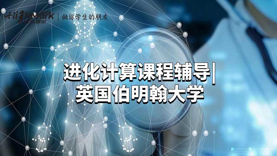 進化計算課程輔導(dǎo)