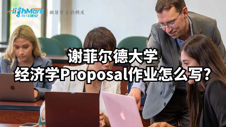 謝菲爾德大學經濟學Proposal作業怎么寫?