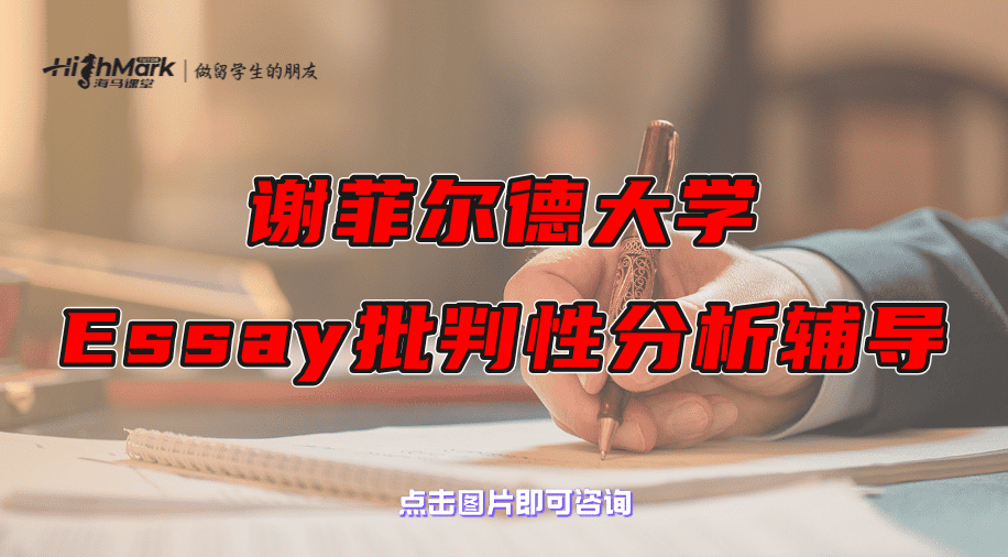 謝菲爾德大學Essay批判性分析輔導