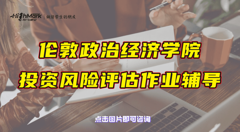 倫敦政治經濟學院投資風險評估作業輔導