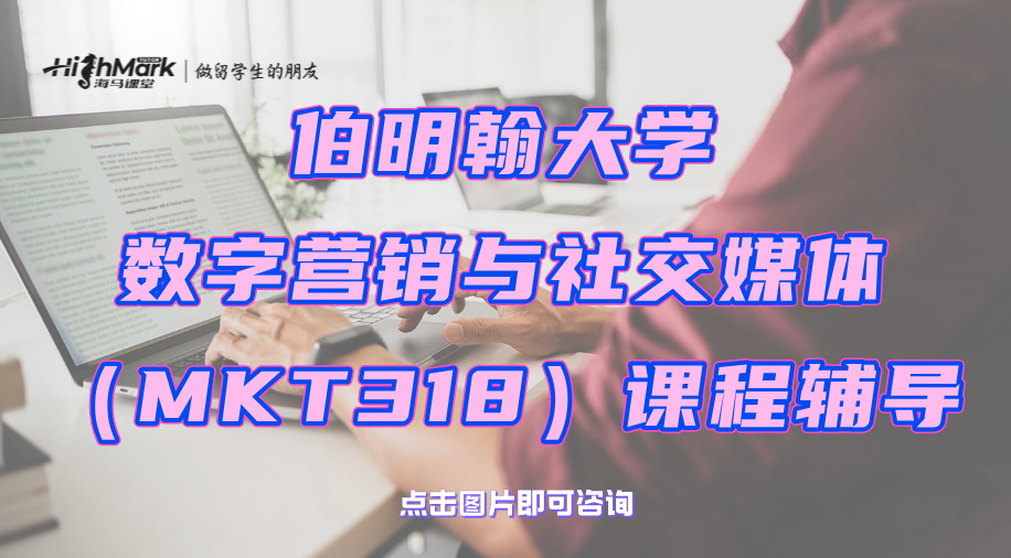 伯明翰大學數字營銷與社交媒體（MKT318）課程輔導