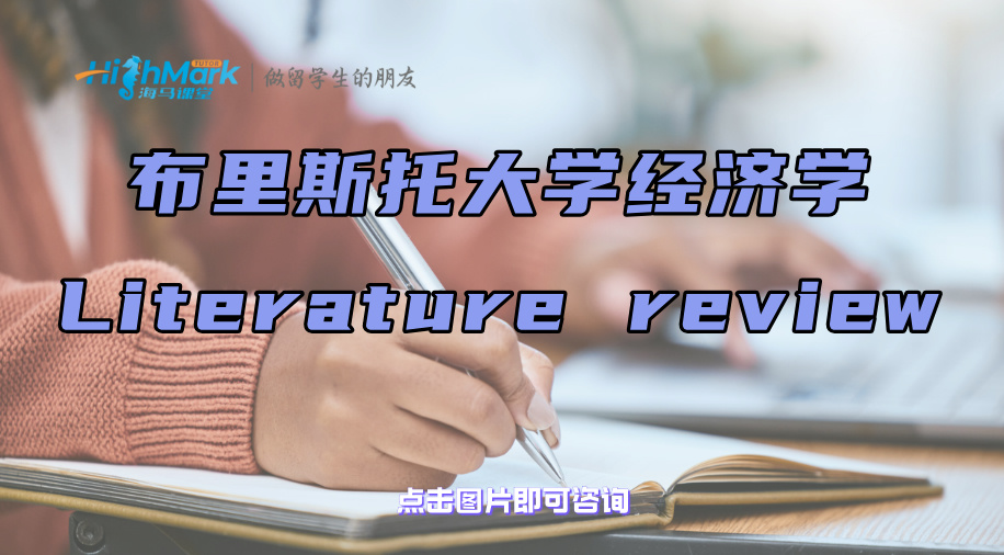 布里斯托大學經濟學Literature review怎么寫?