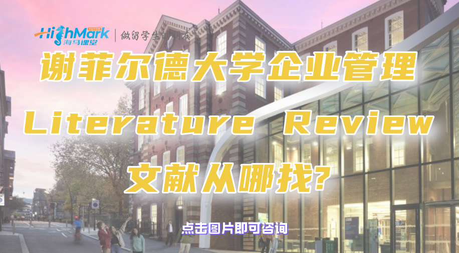 謝菲爾德大學企業(yè)管理Literature Review文獻從哪找?