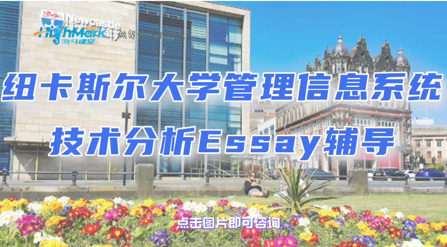 紐卡斯爾大學管理信息系統技術分析Essay輔導